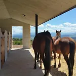 Niditas Bed & Breakfast