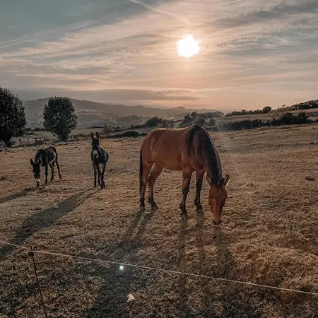 Séjour à la campagne Niditas *