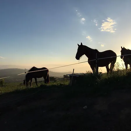 Séjour à la campagne Niditas Yuso