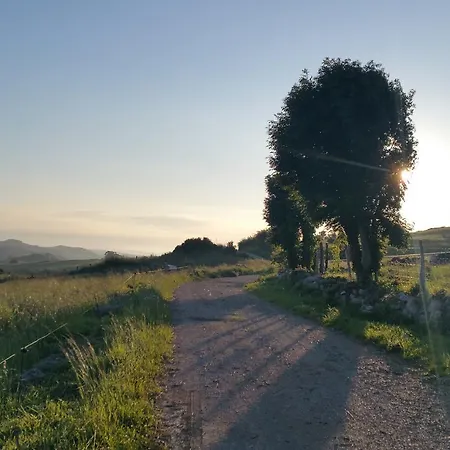 Niditas Panzió Yuso