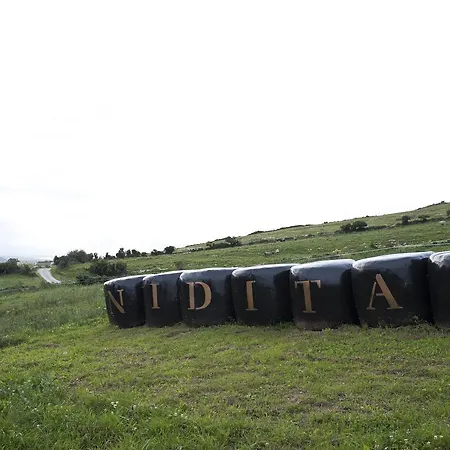 Niditas Отель типа 