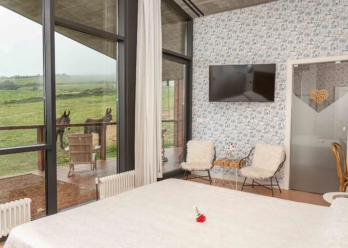 Couette-café Niditas Yuso