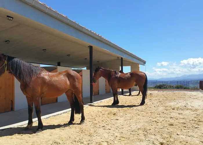 Couette-café Niditas Yuso