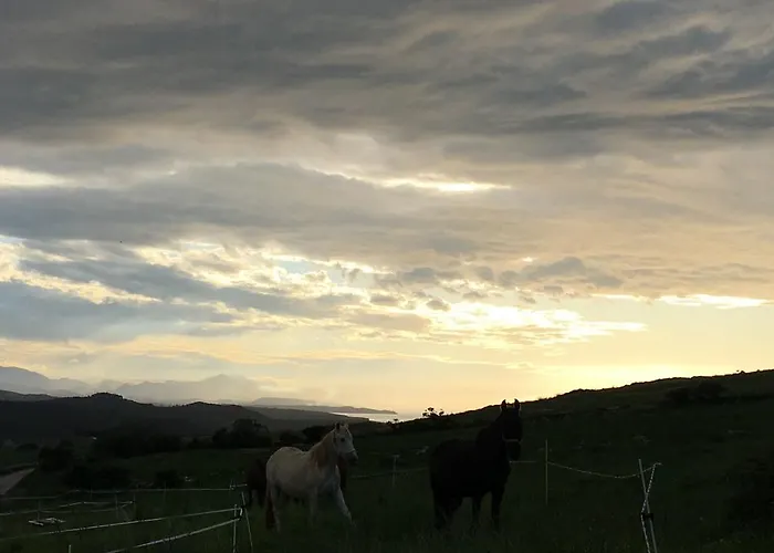 Couette-café Niditas *