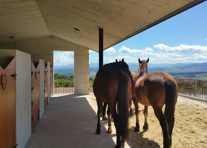 Niditas Couette-café