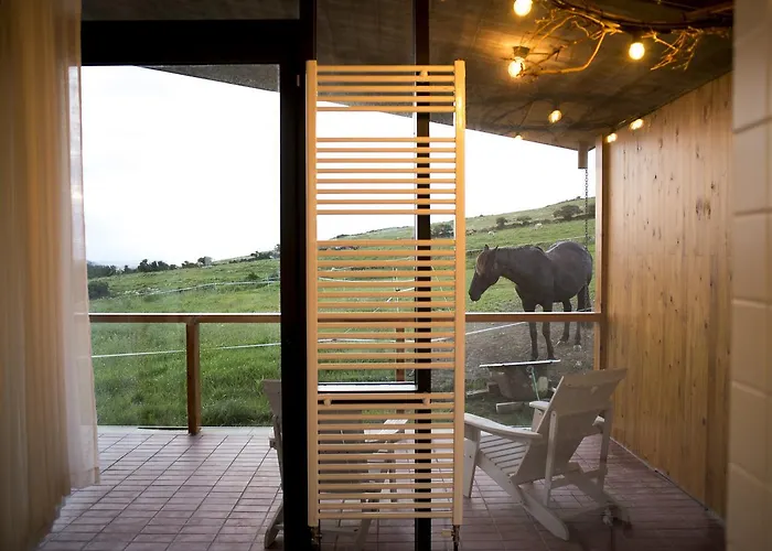 Couette-café Niditas