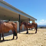 B&B Niditas Yuso