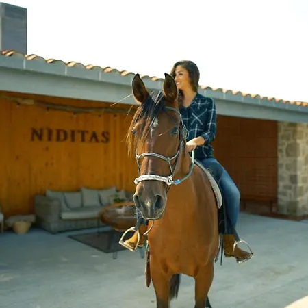 Niditas