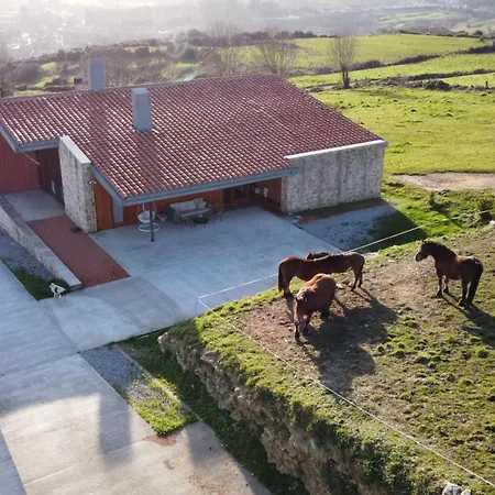 Bed and breakfast Niditas Yuso