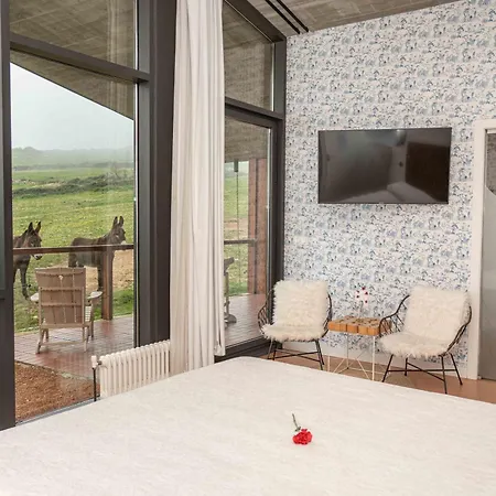 Bed and breakfast Niditas Yuso