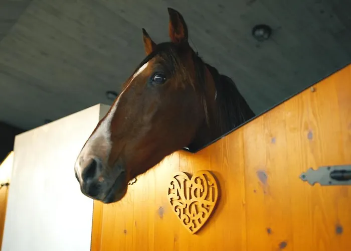 Bed and breakfast Niditas *