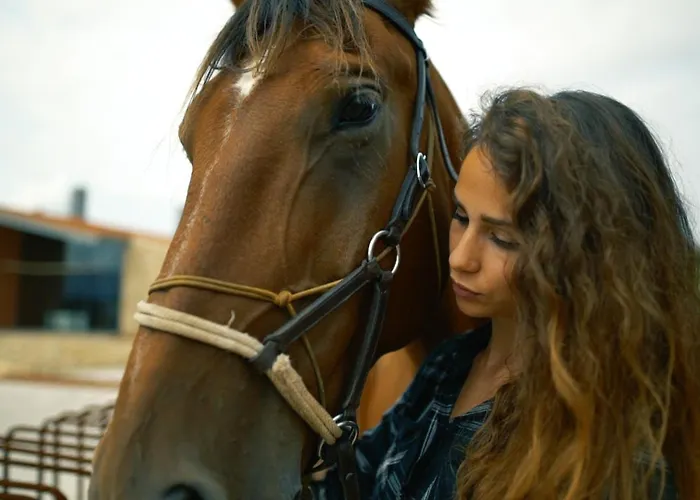 Bed and breakfast Niditas