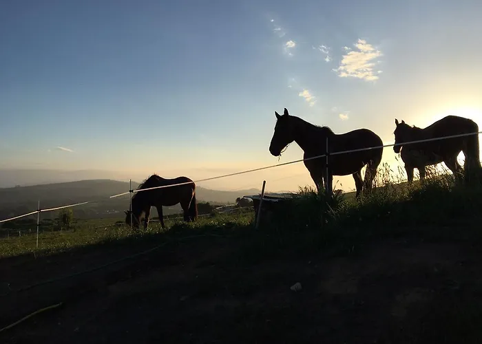Bed and breakfast Niditas Yuso