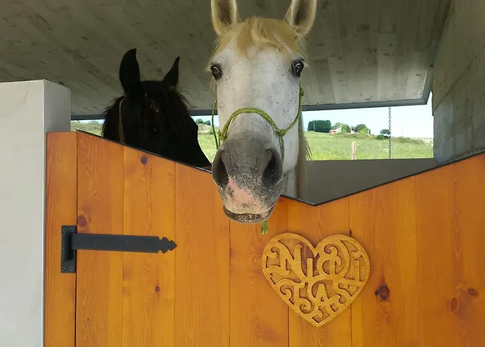 Bed and breakfast Niditas