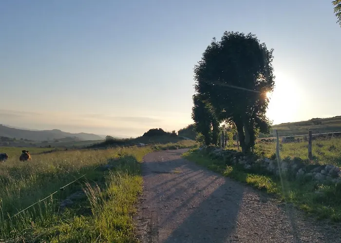 Niditas Bed and breakfast Yuso